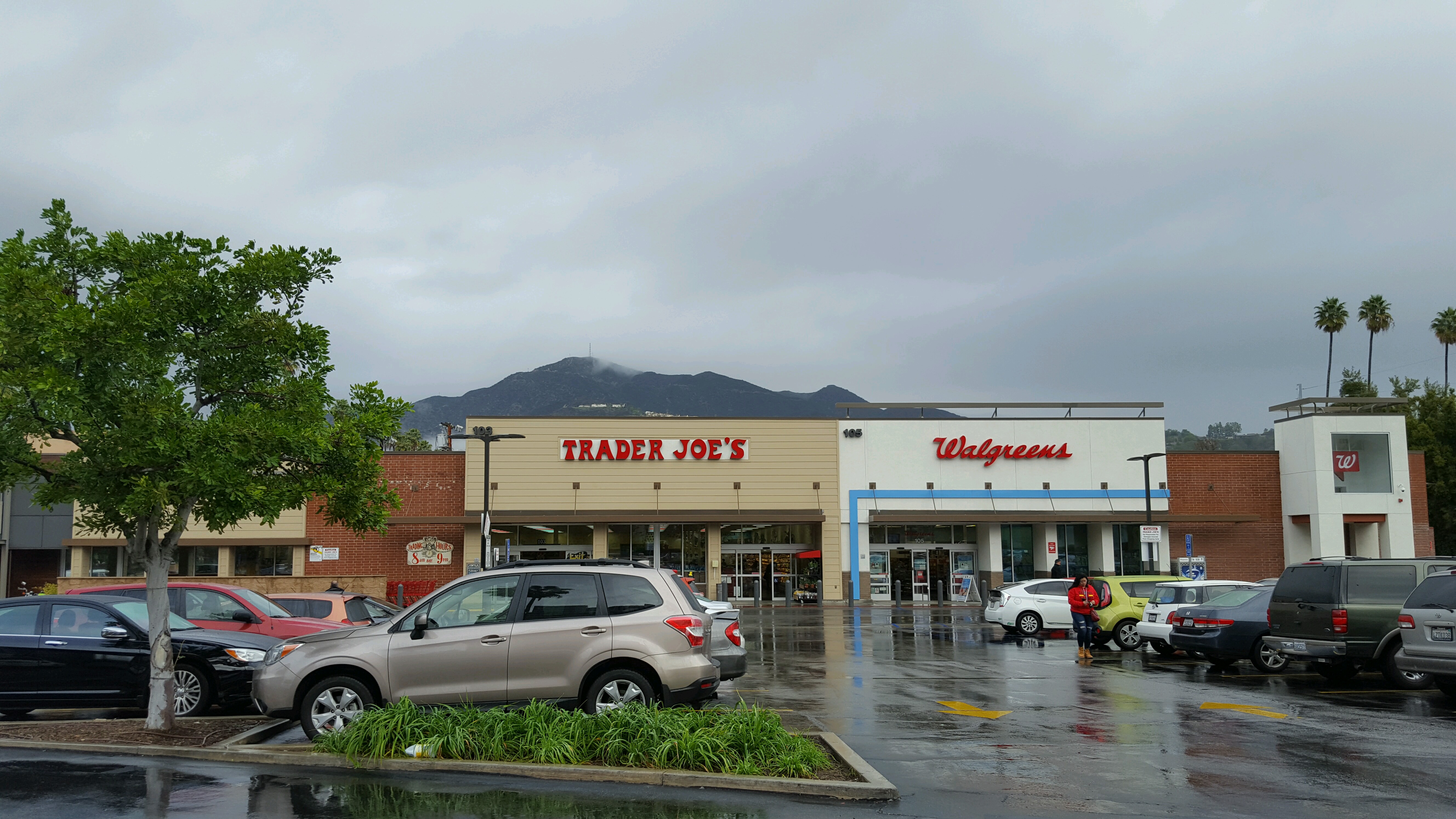 Trader Joe's