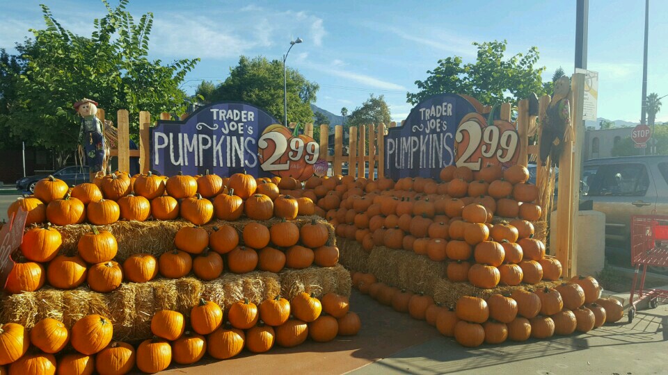 Trader Joe's